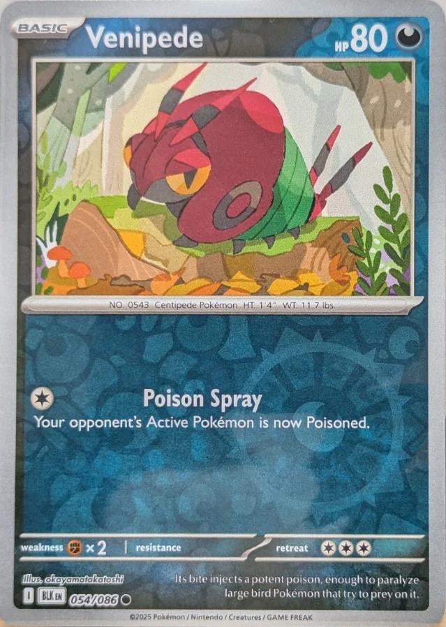 Black Bolt Venipede #54/86 reverse holo