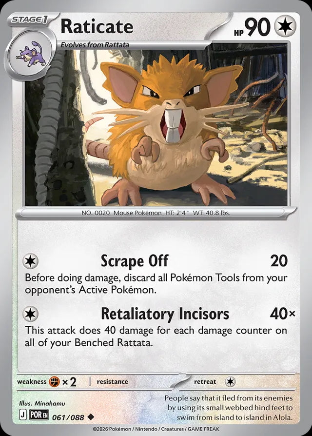 Perfect Order Raticate #061